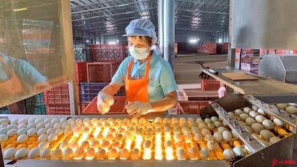 網眼看欽州|誠信食品企業開放日，“零距離”感受放心食品